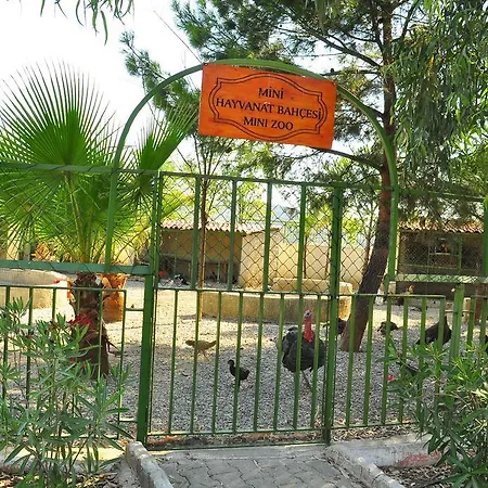 Aydin Dag Termal Hotel 4*