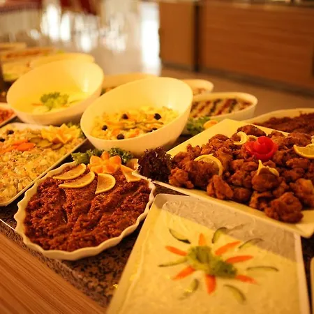 Hotel Aydin Dag Termal