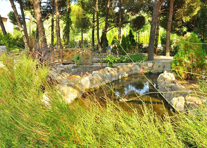 Aydin Dag Termal Bozkoy (Germencik)