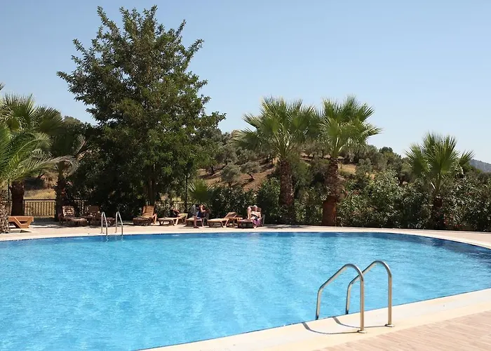 Hotel Aydin Dag Termal Bozkoy (Germencik)