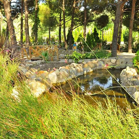 Aydin Dag Termal Bozkoy (Germencik)