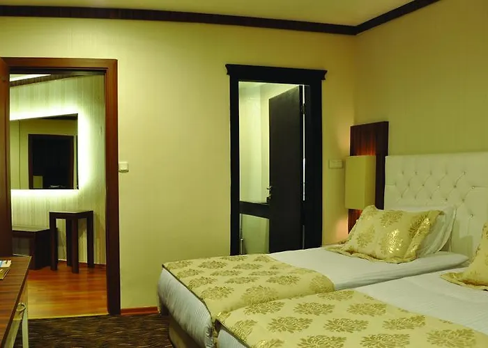 Hotel Aydin Dag Termal