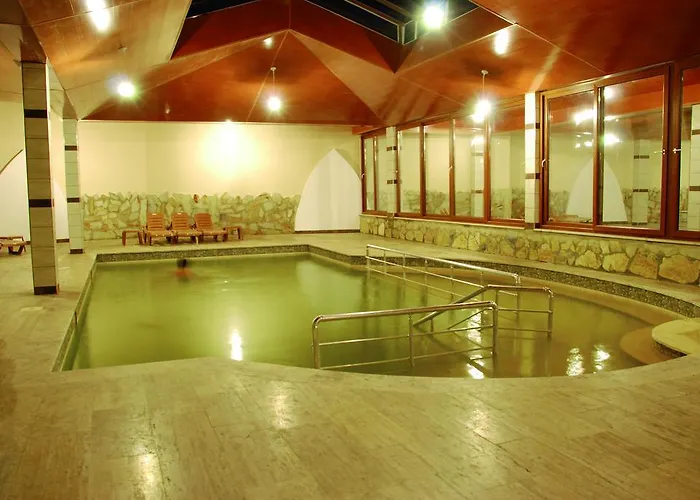 Hotel Aydin Dag Termal