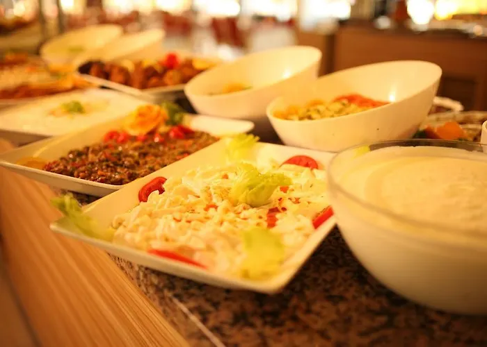 Hotel Aydin Dag Termal Bozkoy (Germencik)