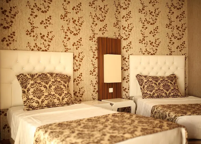 Hotel Aydin Dag Termal